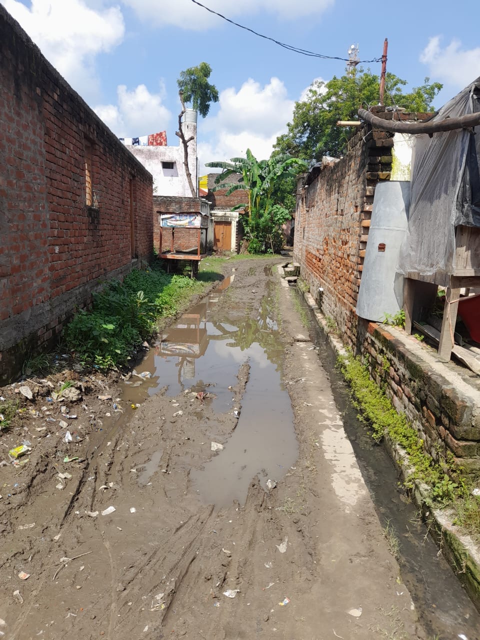 Teenage girl dies of fever, fear of dengue