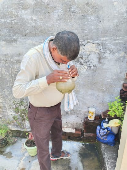 11 more dengue patients found, number reaches 51