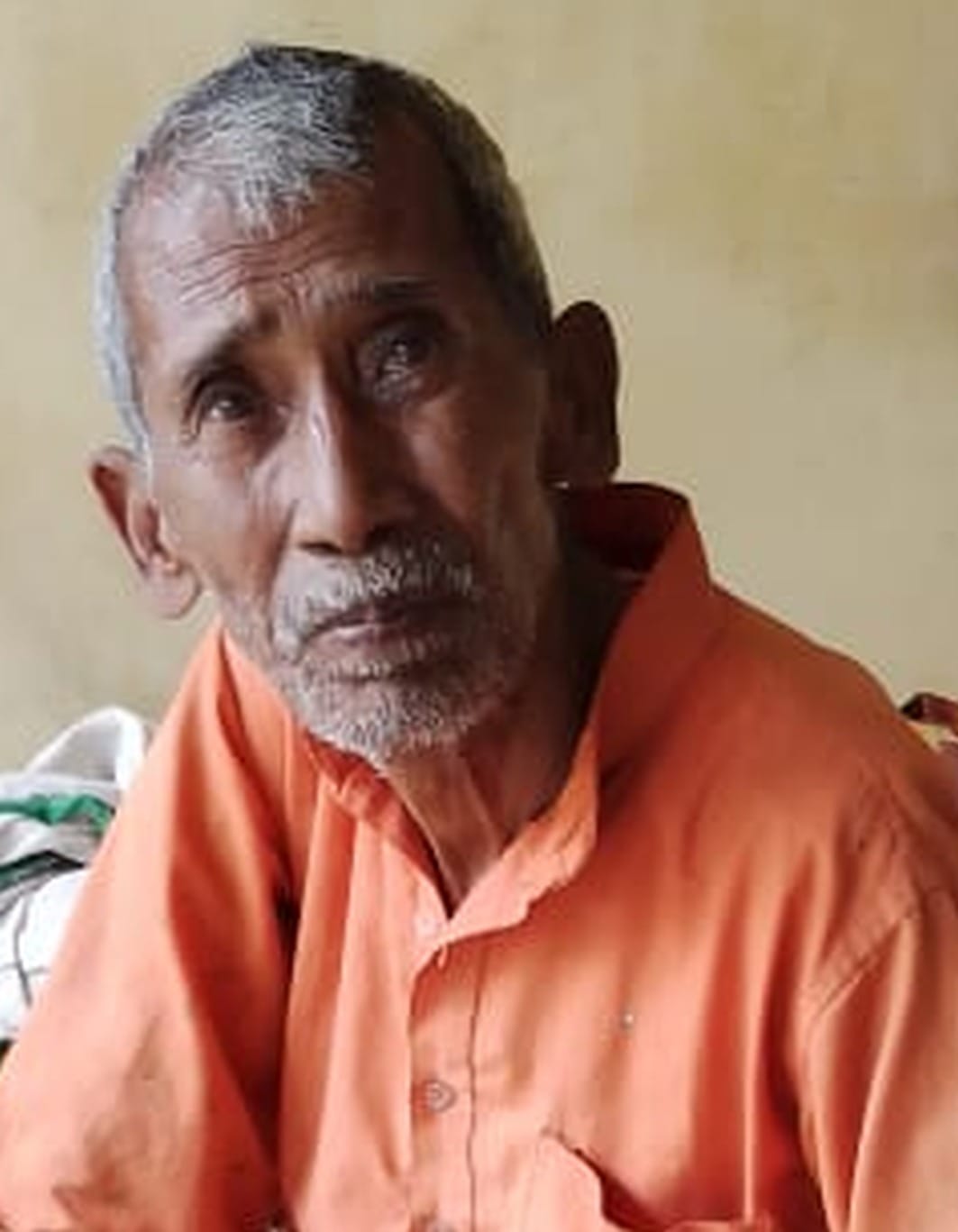 murder old man mango tree