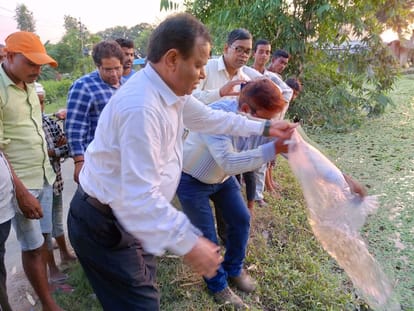 Gambujiya fish added to 20 ponds of four blocks