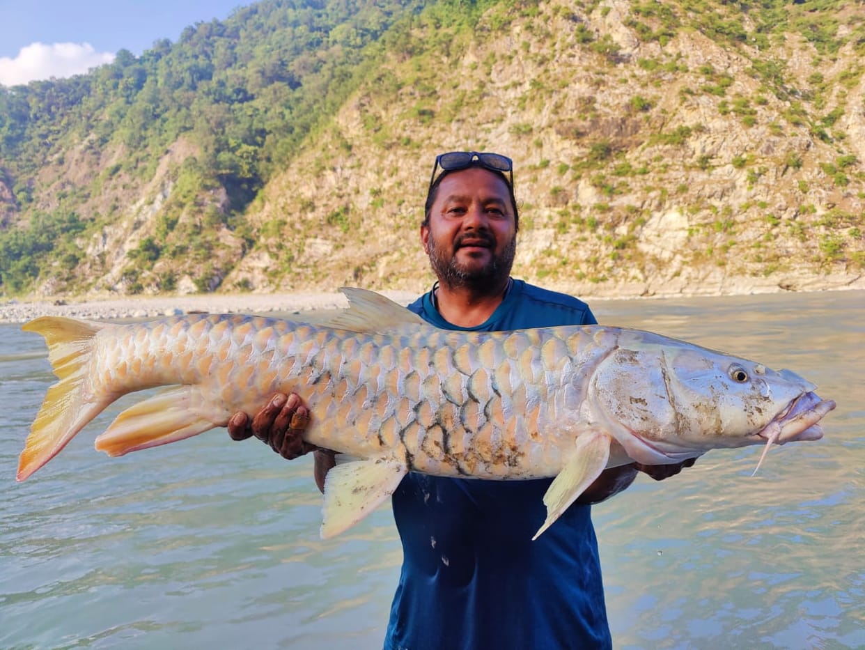 Angler caught Mahaseer fish weighing 15 and 19 kg