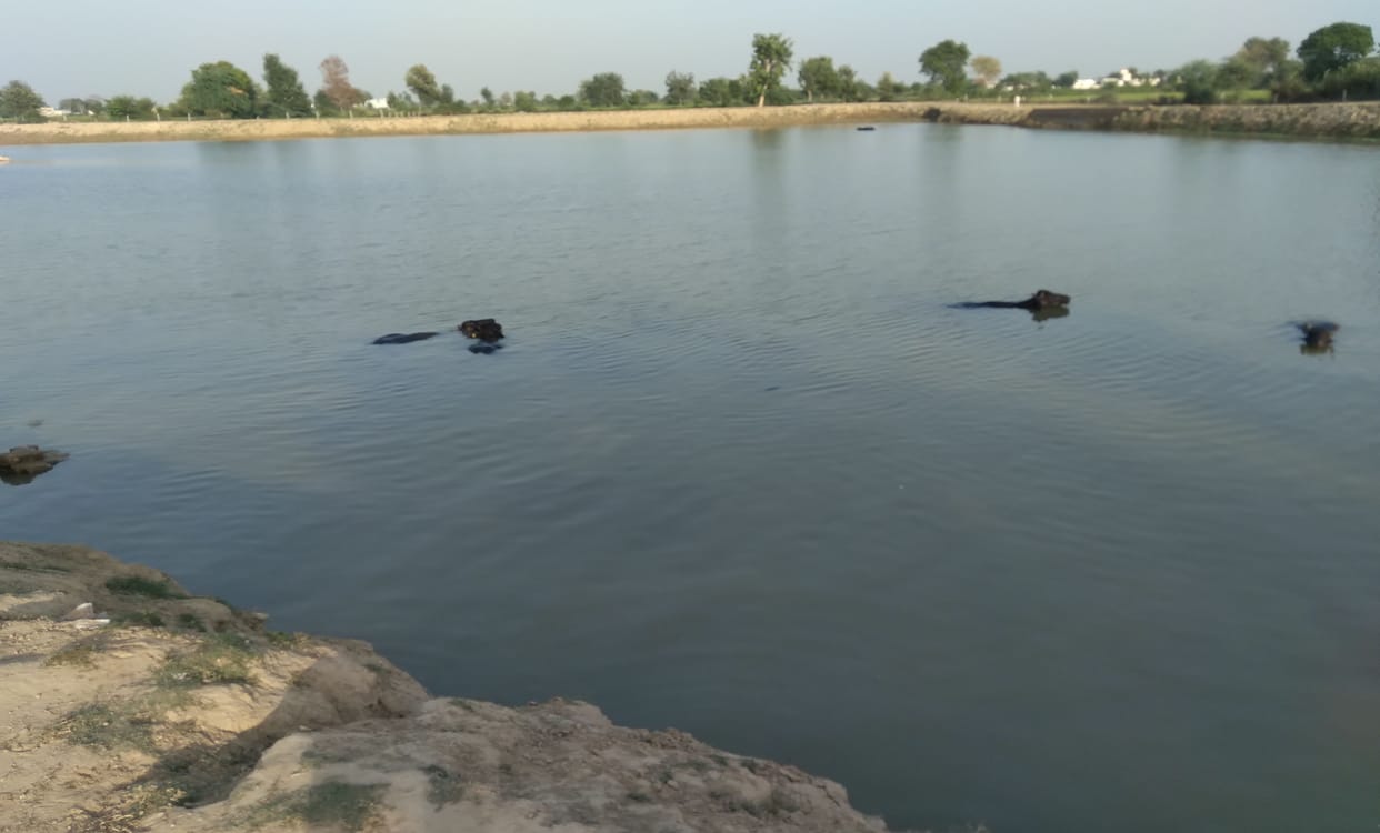 Government pulled back in Amrit Sarovar scheme, now new estimates stopped