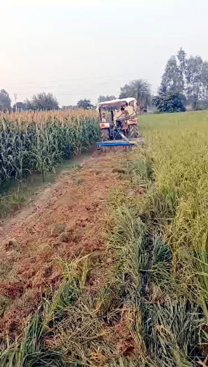 Administration freed Gram Sabha land from encroachment