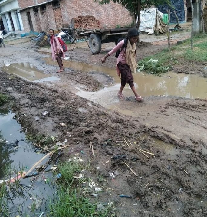 If you want to go to Hashimpur, you will have to pass through the swamp.