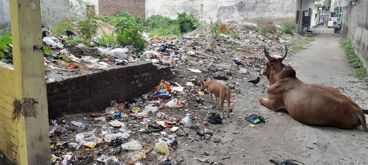 Kapurthala is struggling with the problem of dirt and water.