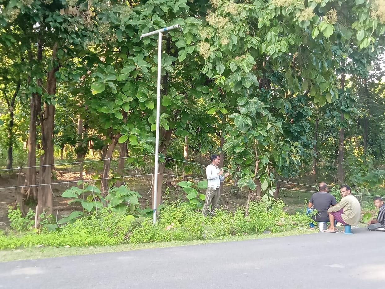 The attacking leopard is not being caught