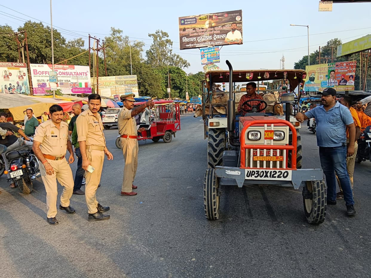 Bovine animals stuffed in three trolleys caught