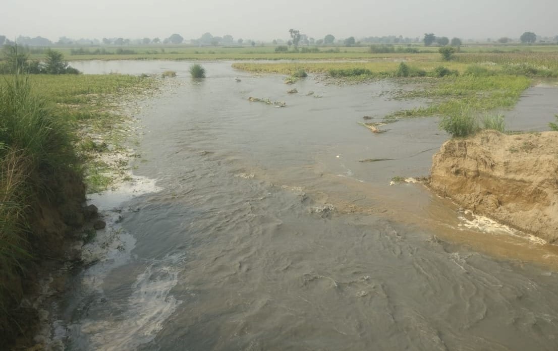 1000 bigha crop submerged due to canal track being cut