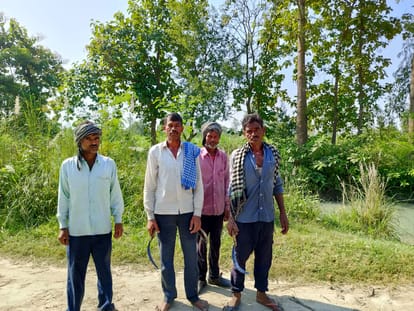 Tiger pounces on laborers cutting grass, stampede ensues
