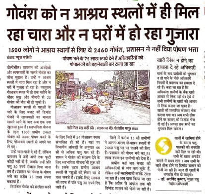 Those who take stray animals under protection get three months allowance