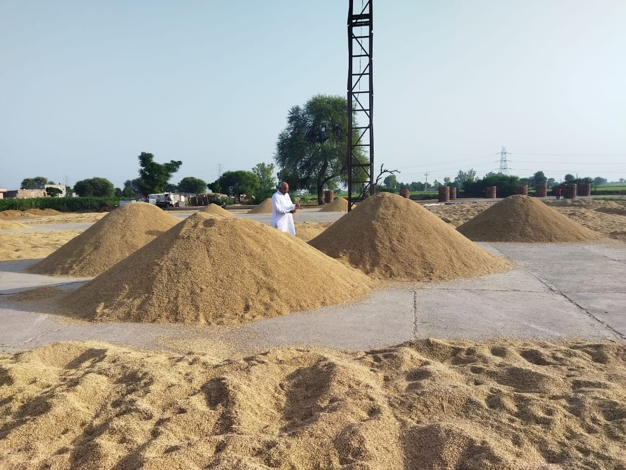 Government procurement of paddy has not started, farmers are waiting in the market for five days