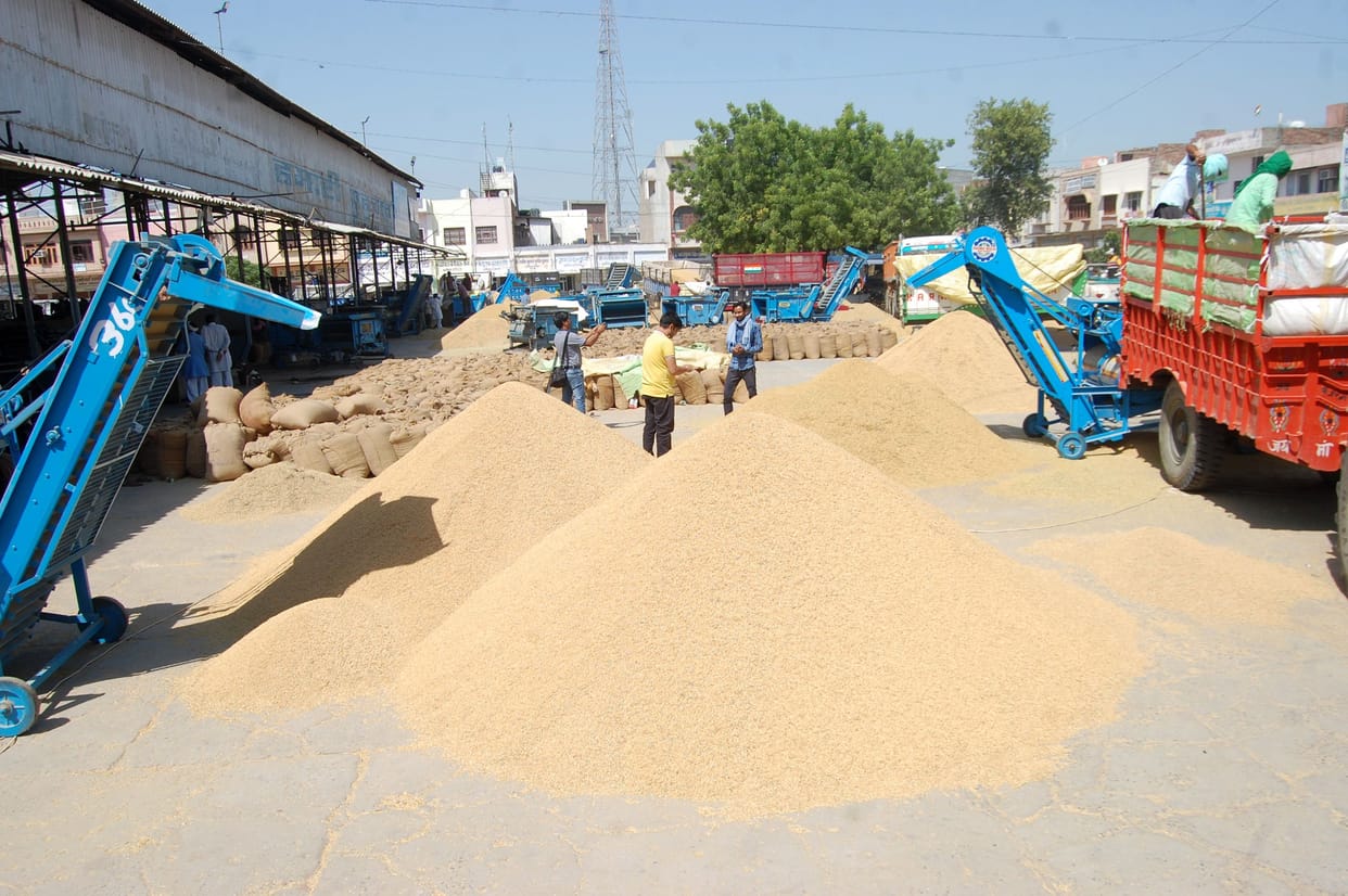 No government procurement of millet, procurement of Parmal slow