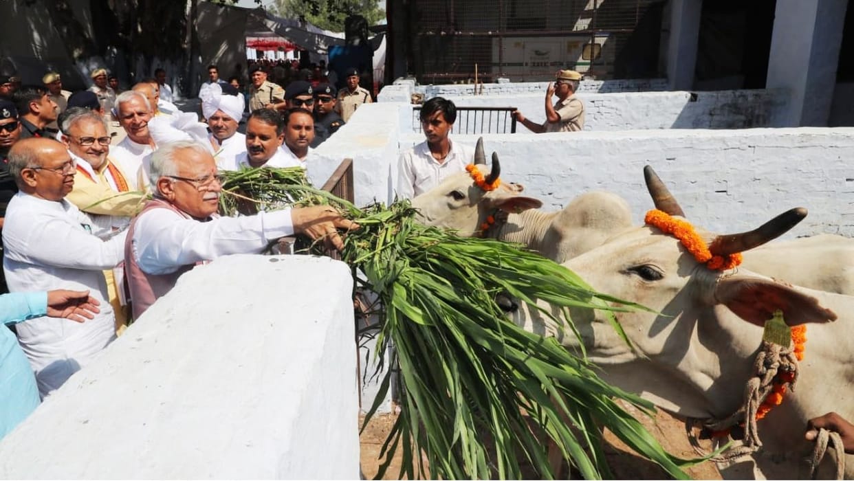 1000 additional cows will be kept in Sisana Gaushala: Chief Minister