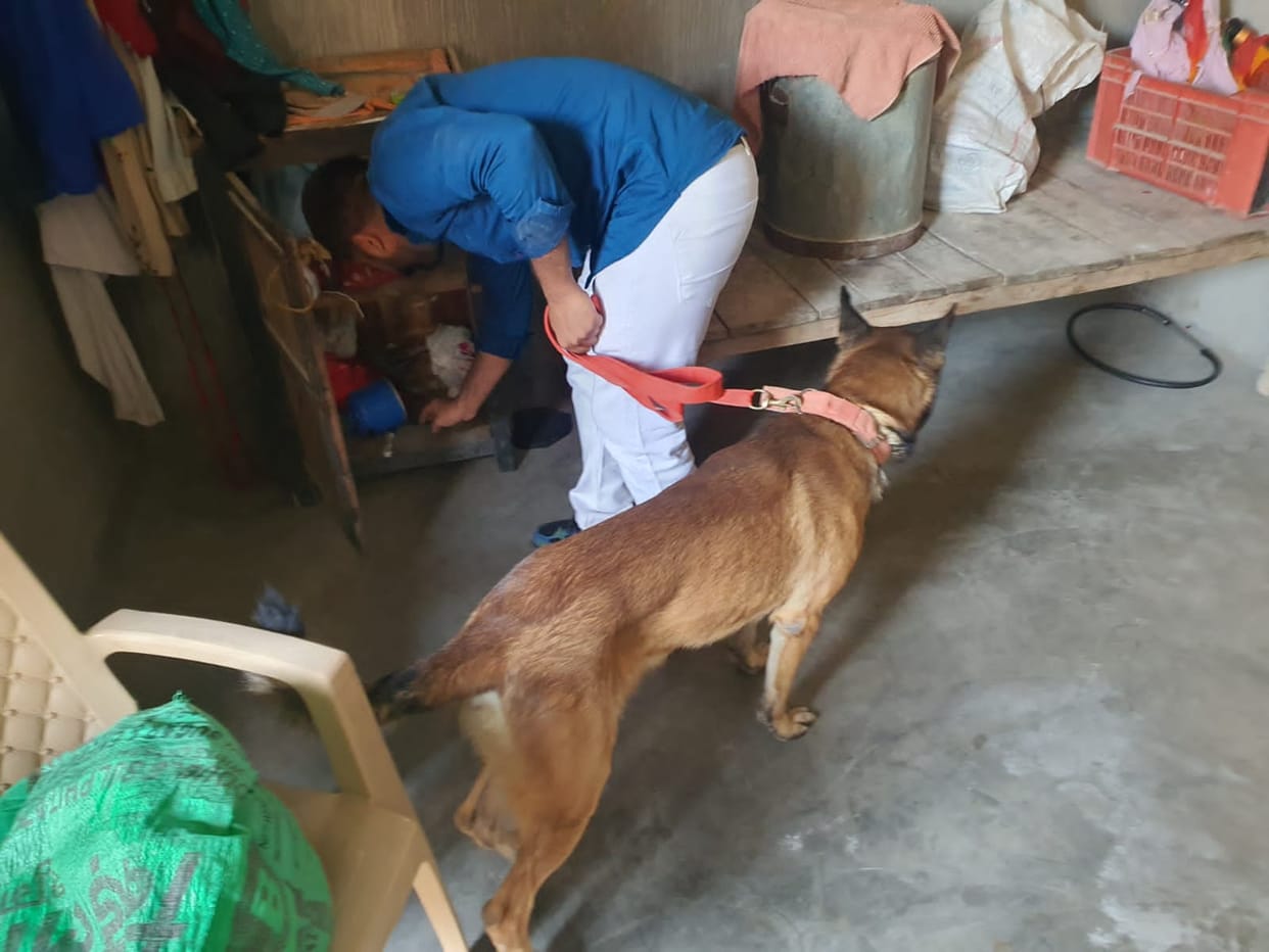 NCB raids 15 places in the city, ganja and heroin recovered from two houses