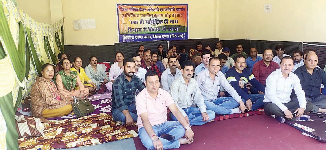 Zip cadre employees remained on strike for the 7th day
