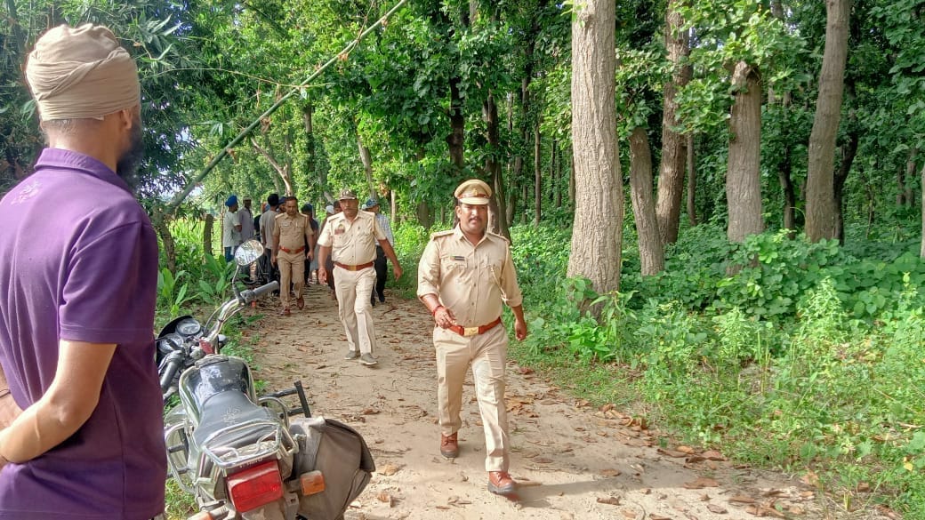 Tigress hunted wild boar near the population