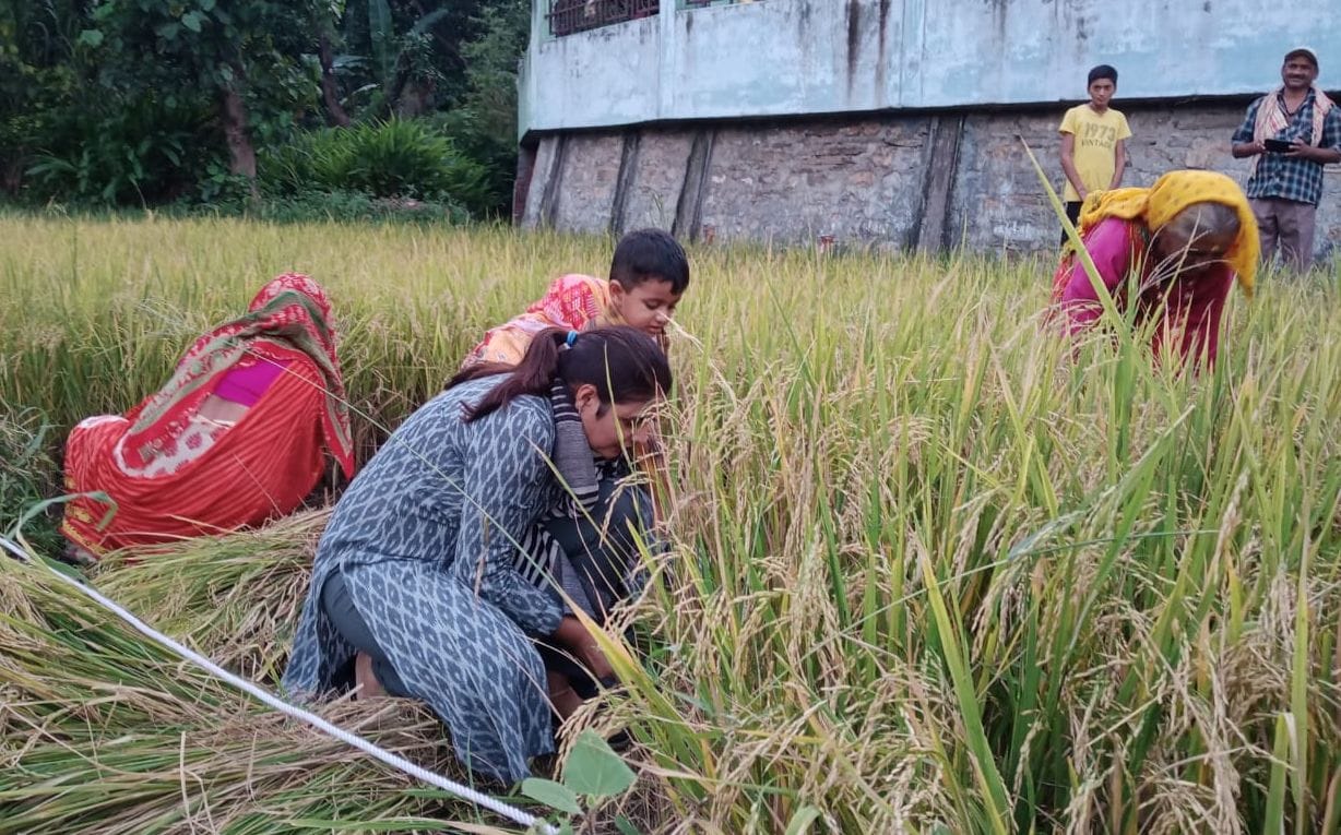 DM Anuradha harvested paddy crop with women