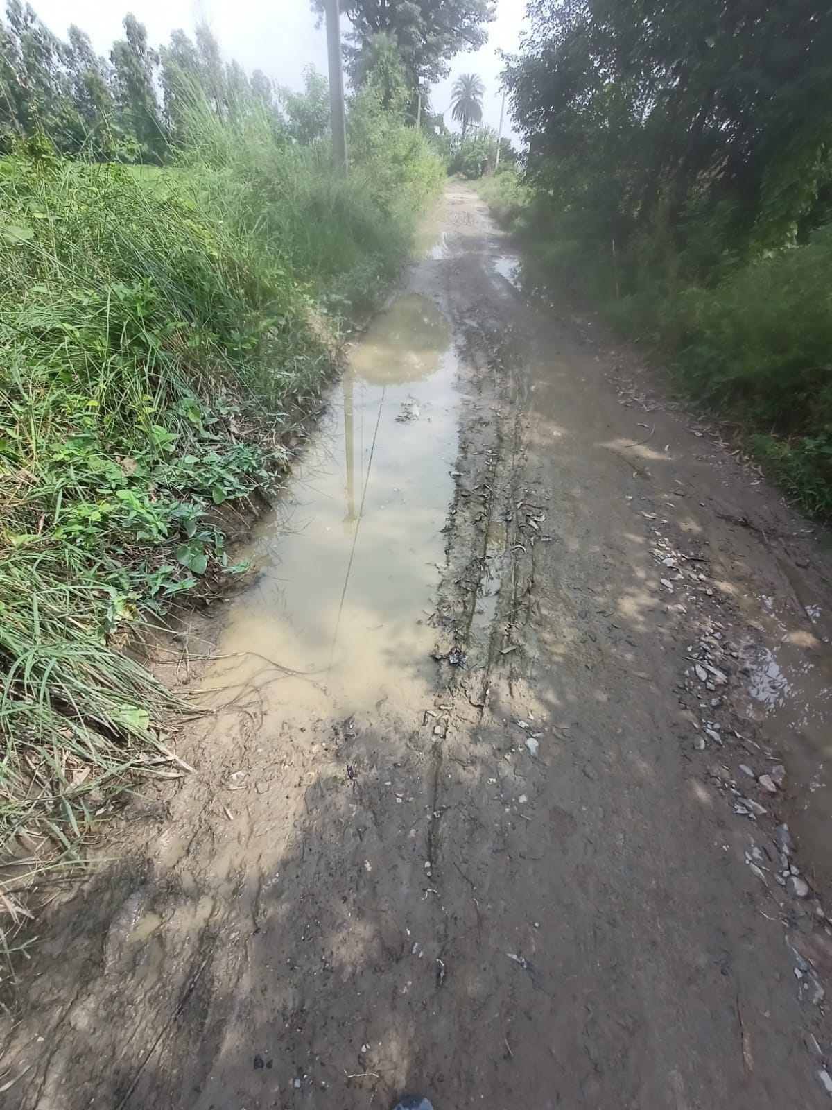 2.5 KM Road needs to be renovated in 40years