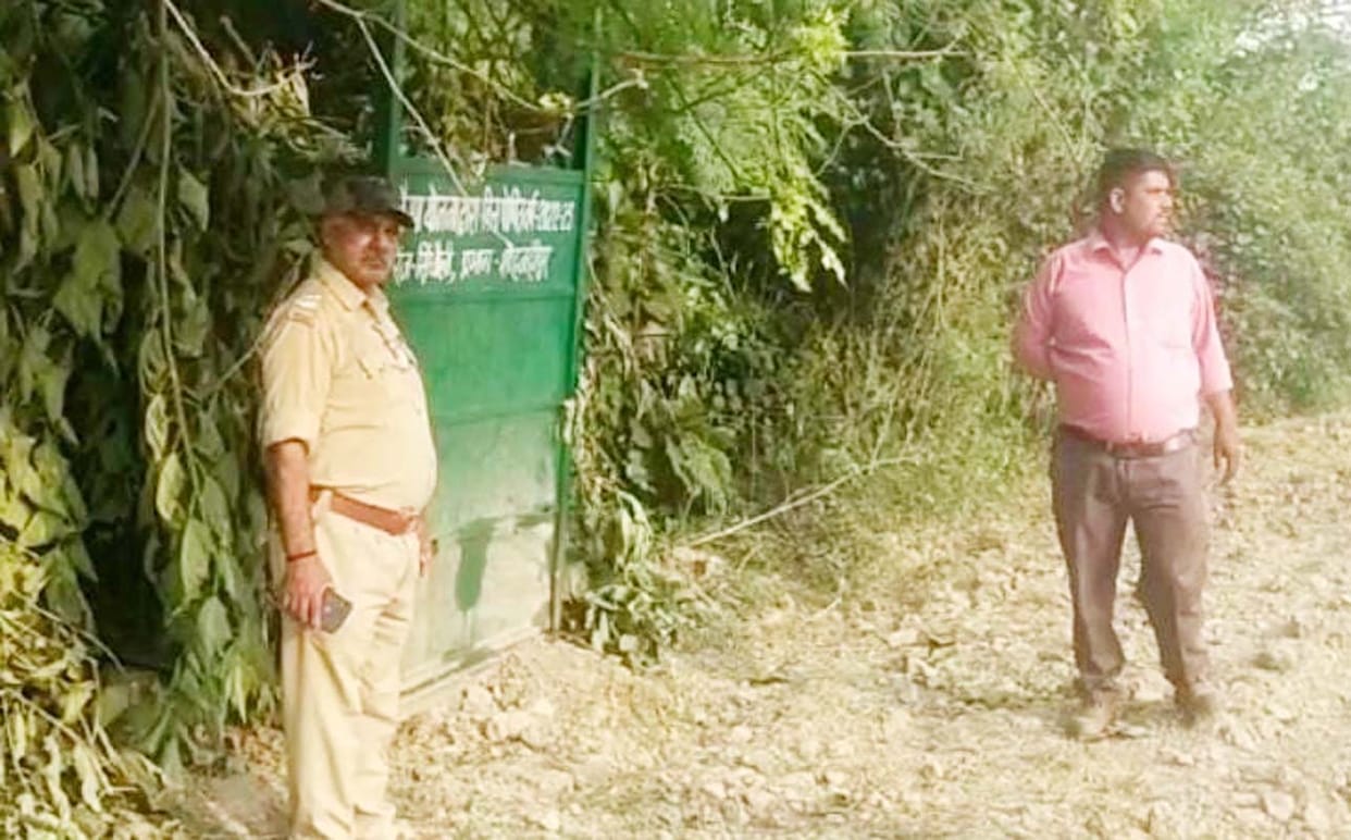 Leopard seen in Duda village, cage and cameras installed