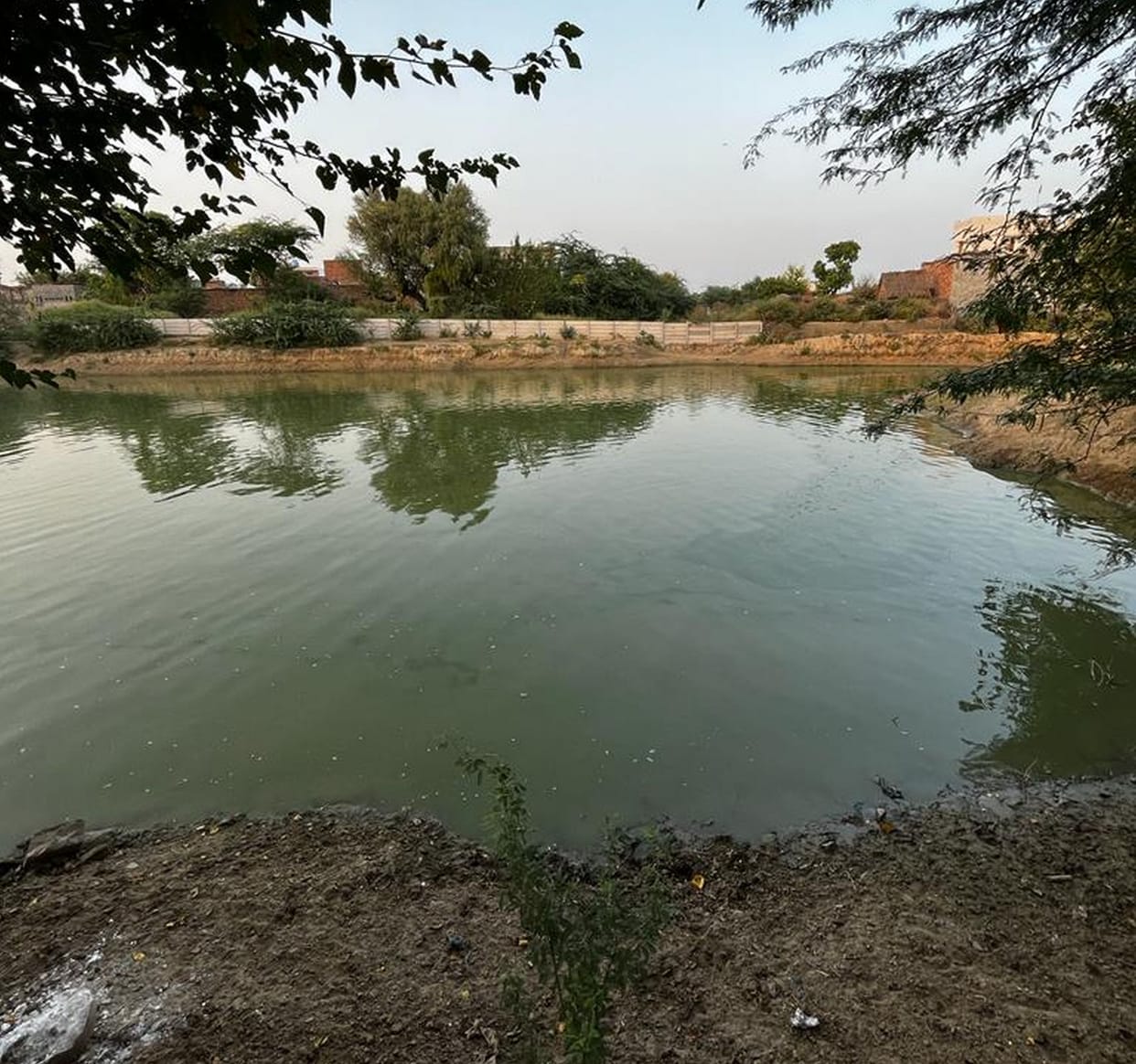 There is no water left for cattle in more than 80 ponds