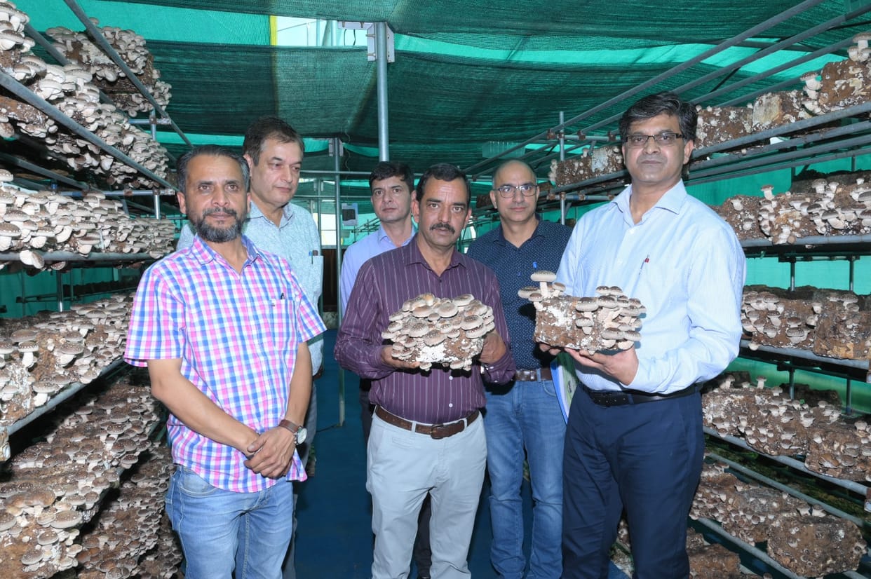 Now demand for shiitake mushroom production comes from Jammu and Kashmir also