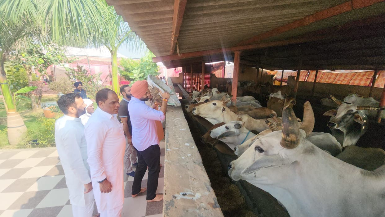 New schemes will soon be implemented for destitute cattle: Sandeep Singh