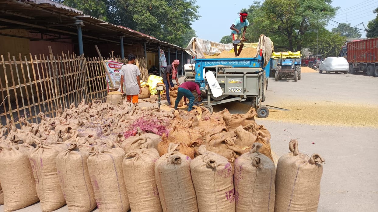Paddy purchase account opened in market committee, farmer welcomed