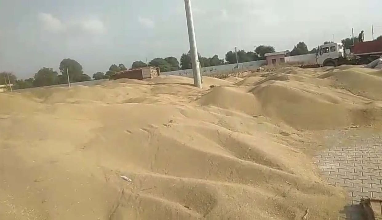 Bought 10 thousand bags of millet from 200 farmers after three days