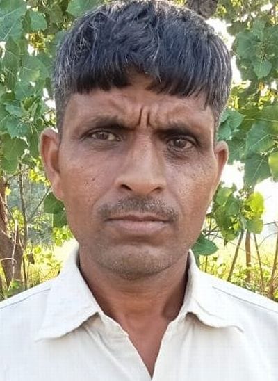 Attack of 'brown hopper' on late paddy