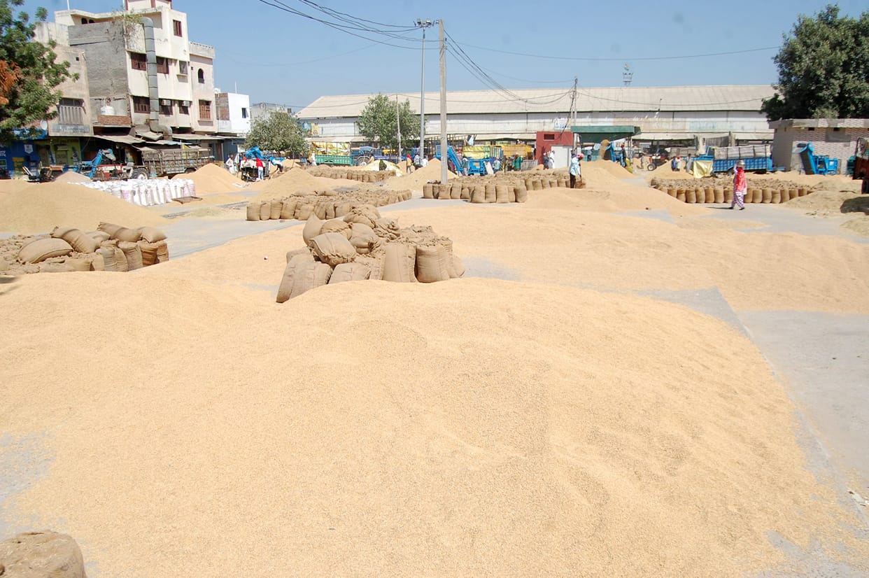 The grain markets of the district are filled with 19 lakh bags of paddy, waiting for lifting.