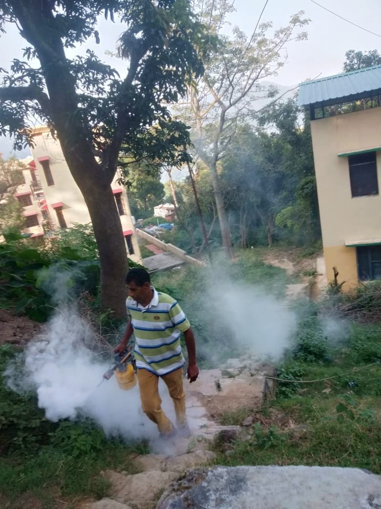 dengu cases increasing in sirmaur