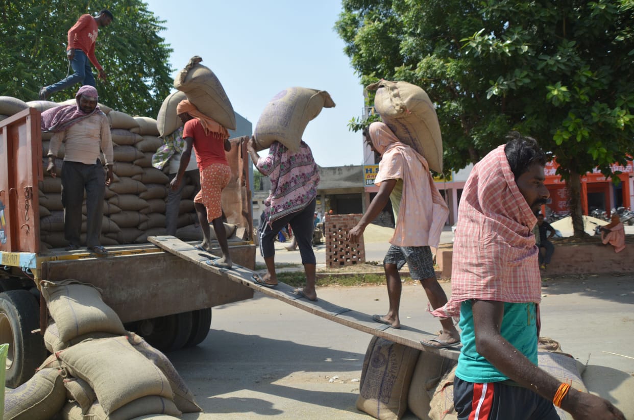 DC's order: Agency should have enough vehicles, lifting of millet should be done regularly