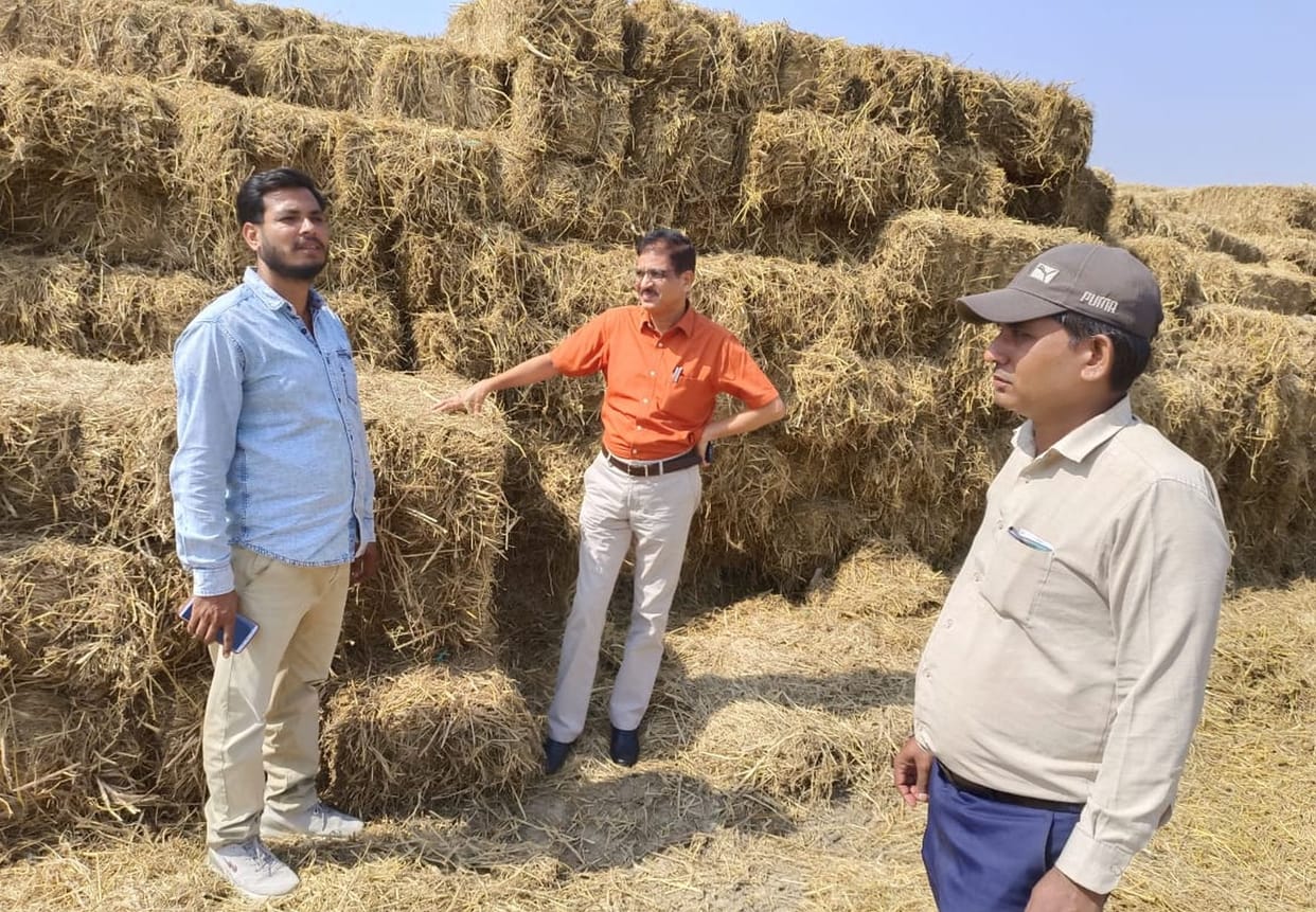 Six cases of stubble burning, three fined