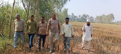 Pilibhit News: डगा पुल के पास पहुंची बाघिन ने बकरी का किया शिकार The tigress reached near Daga bridge and hunted the goat.