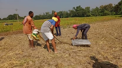 The python found in the field was caught and released into the forest.