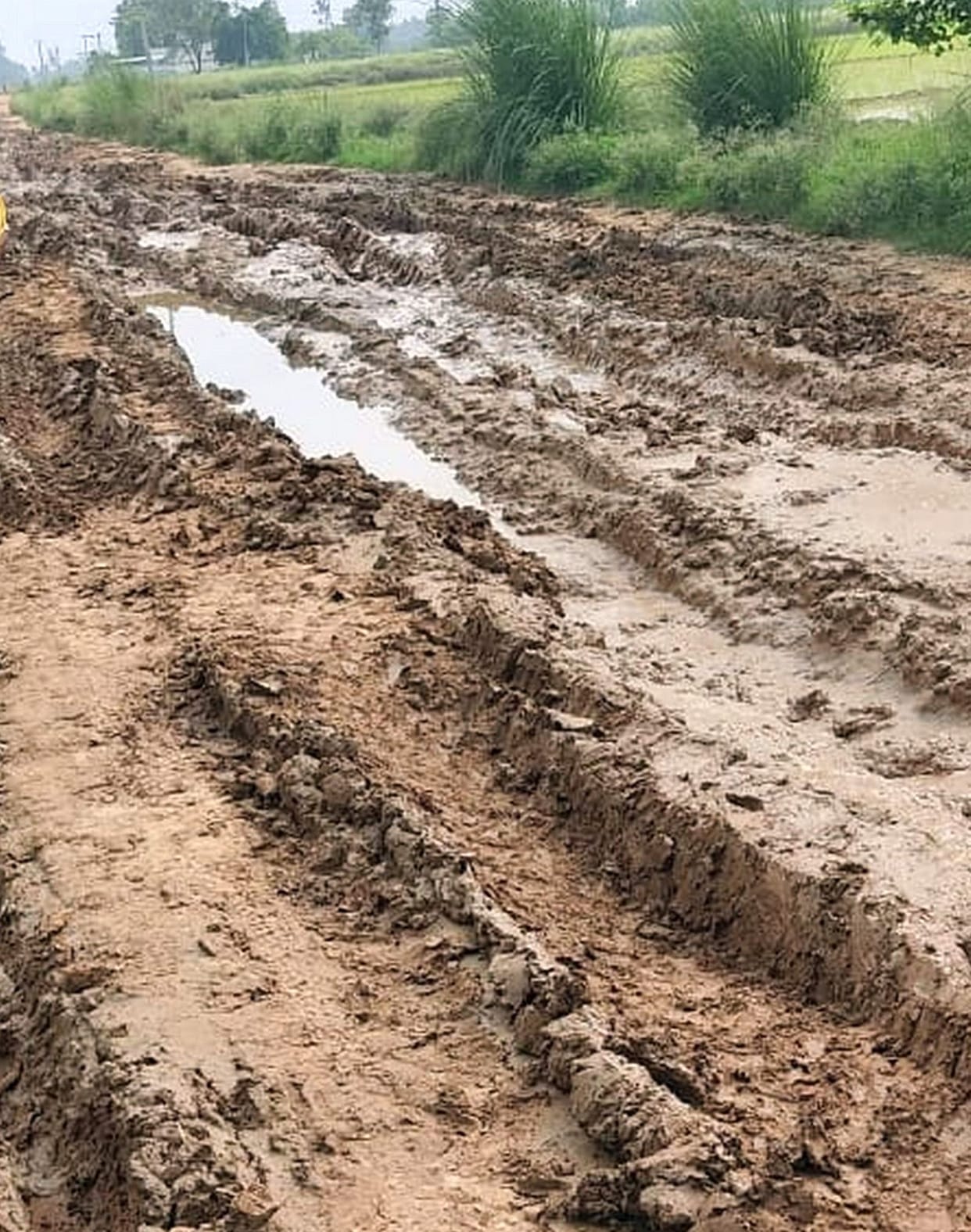 Road will be built from Bilhat to Nawada and from Paliajhanda to Miyaganj.