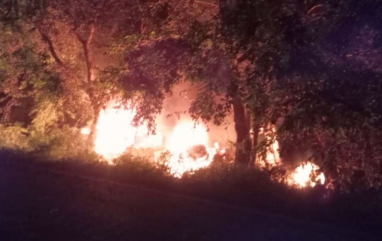 Truck overturns in ditch after DCM hits side, catches fire