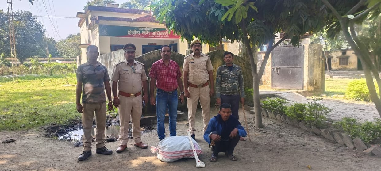 Attempt to hunt wild boar, one arrested, 15 absconding