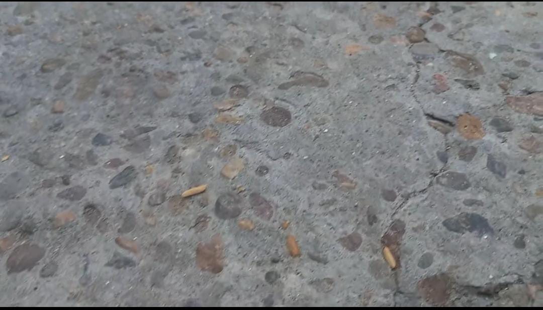 Bakali village shaken by the sound of rapid bullets, more than 10 rounds fired