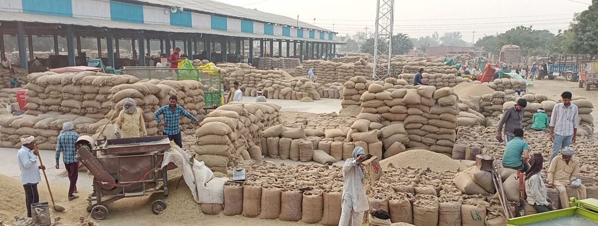 Paddy not sold in the district due to fault in e-procurement portal