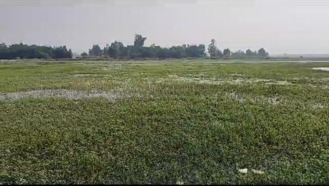 Darvan Lake will be beautified with a cost of Rs 5.5 crore