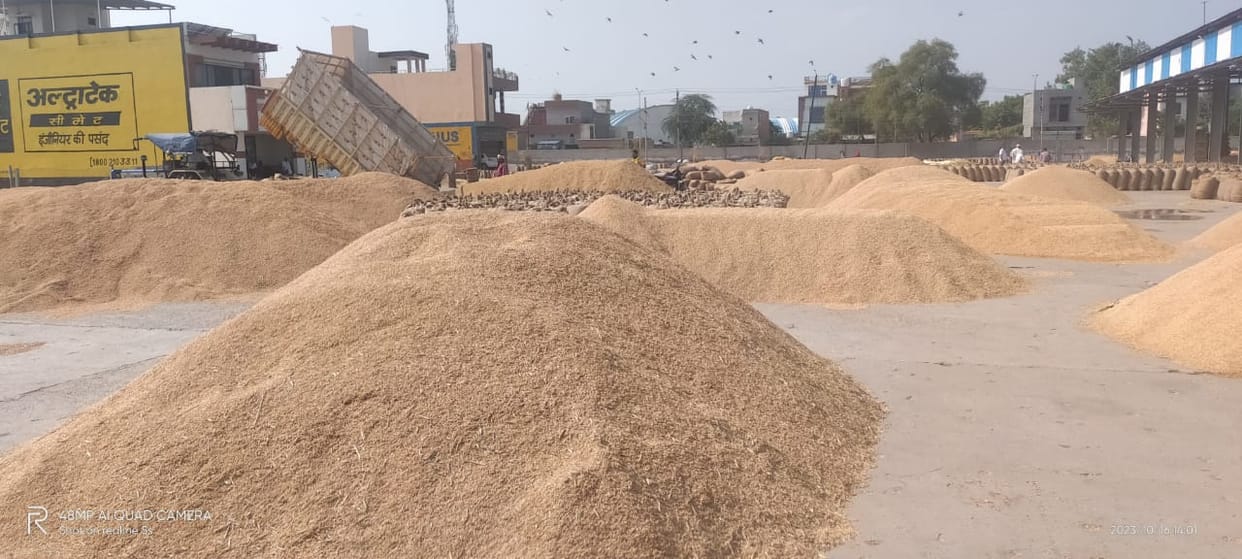 Hailstorm occurred in seven days, covered the heaps of paddy in the grain market