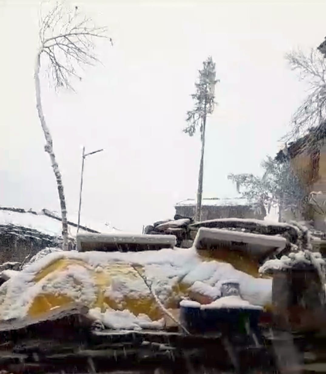 Snowfall in vyas valley