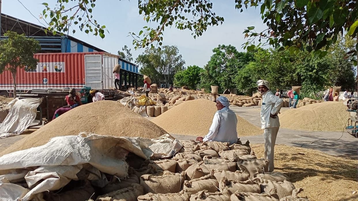Due to drizzle, paddy lying in the markets got moisture, farmers worried