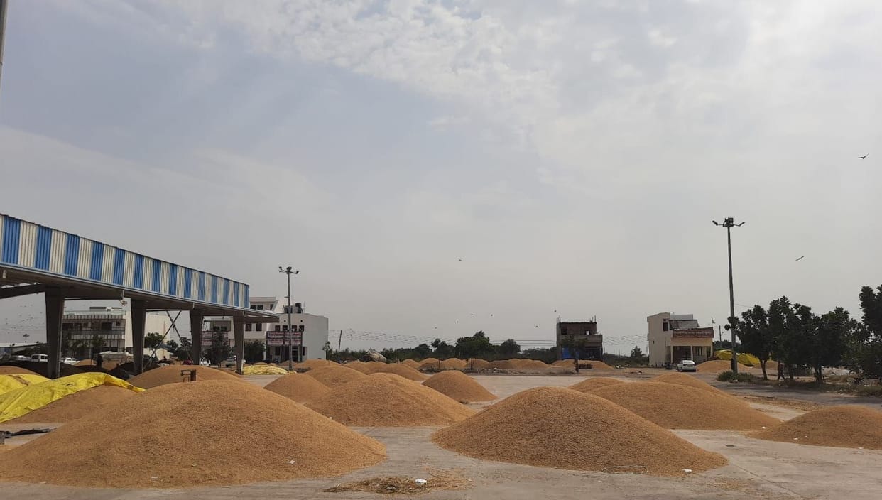 Farmers hit from the sky, helpless even in the market