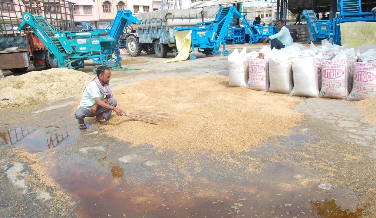 Paddy could not be saved in the markets, farmers' wishes were dampened