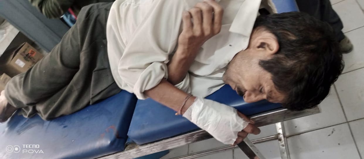 Two farmers injured in wild boar attack
