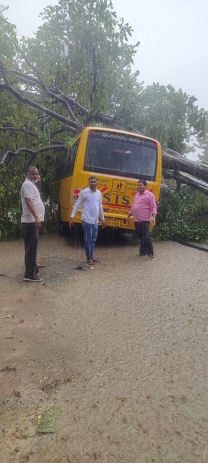 Tree uprooted by storm and fell on school bus in pilibhit