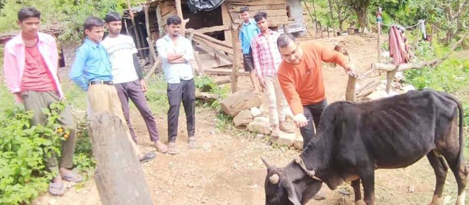 Fear of rabies, 21 animals vaccinated in Kakanai
