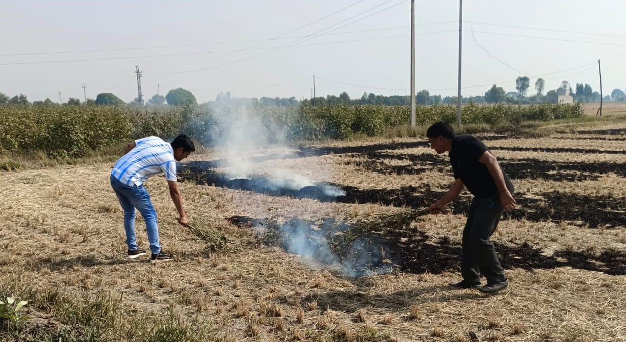 Officials could not reach the spot, hence burning stubble in the evening